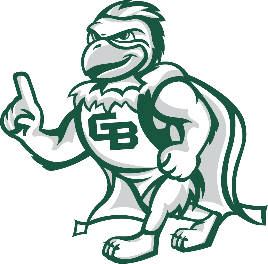 Wisconsin-Green Bay Phoenix 2020-Pres Mascot Logo v3 diy iron on heat transfer